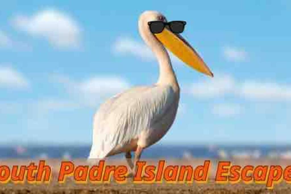 Coronado Get-Away At Fantasy Circle South Padre Island Exterior photo